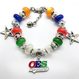 Popular Order of the Eastern Star society Jewelry Bracelet Enamel Metal OES big hole beads bangle12531