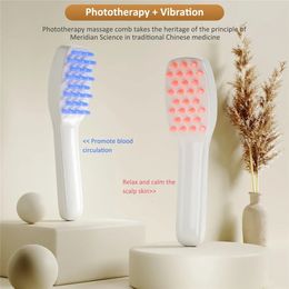 CkeyiN USB Rechargeable Light Potherapy Head Massager Vibration Scalp Comb Oil Control Smooth Hair Growth Brush 231225