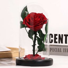 Valentine's Day Creative for Girlfriend Glass Cover Flower Box Eternal Rose Gift Decoration 12cm*20cm