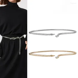 Belts Ins Snake Gold Diamond Belt Women Fashion Thin Silver Shiny Luxury Female Jean Dress Waistband 2024