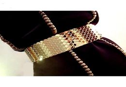 Belts Europe Fashion Quality Wide Elastic Scale Metallic For Women Ladies Dress Metal Belt Straps Waist4607573