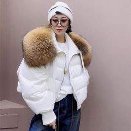 2023 Winter Puffer Jacket Women Large Real Raccoon Fur Collar Short Female Parkas Thick Warm 90 Goose Down Coat Loose 231225