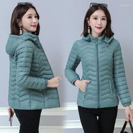 Women's Trench Coats In Autumn And Winter A Short Cotton-padded Jacket With Hat Foldable Coat Is Slim.