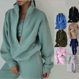 Autumnwinter Women's 2023 Fashion Davidson Brushed Fleece Sports Casual Set Multi Color Zipper Stand Neck Women's Set 231225