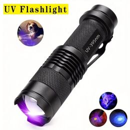 Brighten Up Your Home with this Portable UV Flashlight - Spot Pet Urine & More!