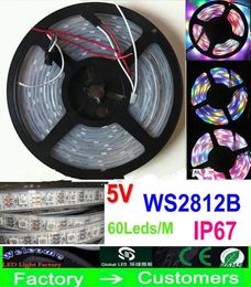 Strips 5M 5V 60Led/M 300LEDs programmable WS2812B RGB 5050 LED strip Digital Individually addressable magic dream Colour Waterproof IP67