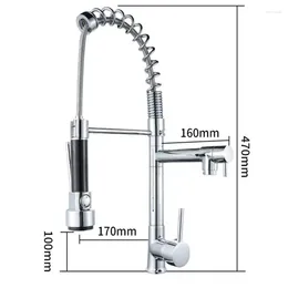 Kitchen Faucets Multifunctional Faucet All Copper Household Cold And Gold 2 Water Outlets