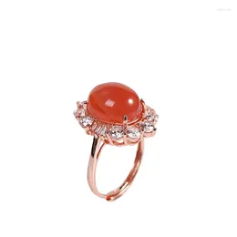 Cluster Rings S925 Silver Inlaid Southern Red Agate Geometric Ring Fashion Light Luxury Women's Open