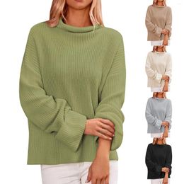 Women's Sweaters Fashion Turtleneck Womens Comfy Heavy Weight Sweatshirts For Men Sweater Shirts Women 100 Sweatshirt
