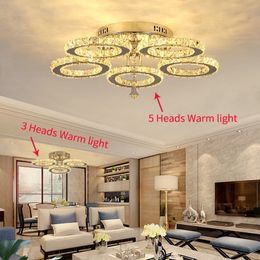 Modern Creative Ring Stainless Steel LED Crystal Ceiling Light for Hall, Dining Room, Bedroom, Study Room Decorative Lighting Fixtures