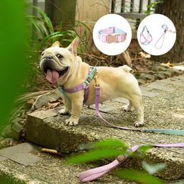 Pet Shop All Bulldog Frances Puppy Choker Collar Dog Leash Breastplates Lead Set Harness No Pull Pets Accessories for Small Dogs 231225