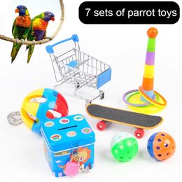 A Set Of Parrot Toy Skateboard Cart Ball Puzzle Training Bird Pet Supplies 231225