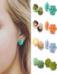 Stud Fashion Casual Cute Colourful Succulent Plants Earrings Plastic Posts For Plant Lovers Just One 217021763873