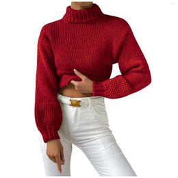 Women's Sweaters Women Sweater Long Sleeve Top Knitted Pullover Turtleneck Woman Winter 2023 Basic Female Clothing Soild