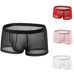 Underpants Men's Sexy Underwear Boxer Briefs Mesh Breathable See Through Temptation Low-Waist Erotic