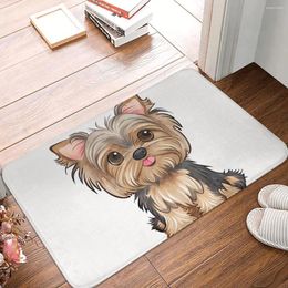 Carpets Mini Dog Doge Bath Mat Rug Home Doormat Kitchen Carpet Balcony