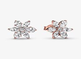 100 925 Sterling Silver Sparkling Herbarium Cluster Stud Earrings Fashion Wedding Jewelry Accessories For Women Gift2043520