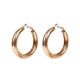 Fashion Gold Silver Plated Circular Earrings for Women Lady Simple Versatile Dangle Huggie Hoop Earring Demon8682732