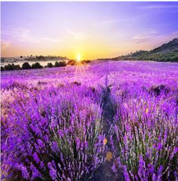 Custom Po Wallpaper 3D Stereo Beautiful romantic purple lavender field golden sun background wall Living Room Wallpaper 3D Pain3231059