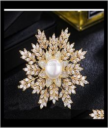 Fashion Women Big Pearl Flower Crystal Rhinestone Snowflake Brooch Pins Gold Silver Cor For Lady Gift Designer Jewellery 5Teat Srn4L4544601