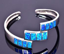 Whole Retail Fashion Fine Blue Fire Opal Bangles 925 Silver Plated Jewelry For Women BNT15220045796087