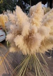 30 inches Wedding special pampas grass decor large size Fluffy feather wedding flowers plants natural white dried flowers C11111625512