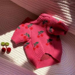 Dog Apparel Cat Clothes Autumn Winter Warm Small Cherry Sweater Knit Maltese Pomeranian Schnauzer