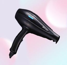 Powerful Professional Salon Hair Dryer Blow Dryer Electric Hairdryer Cold Wind with Air Collecting Nozzle D40 2112244696694