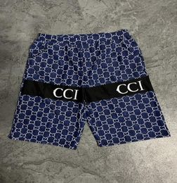 Summer Fashion Shorts designer short Quick Drying SwimWear Printing Board Beach Pants Men Mens Swim Shorts Asia size M3XL 1107493787