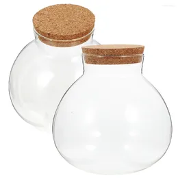 Vases 2 Pcs Micro Landscape Ecological Bottle Glass Terrarium Clear Container Lid Moss Small Cork Desktop Micro-landscape