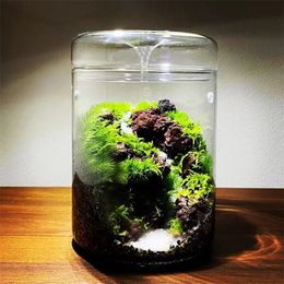 Micro Landscape Glass Bottles Creativity Dew Collection Vase Succulent Moss Bansai Terrarium Home Decor 231227