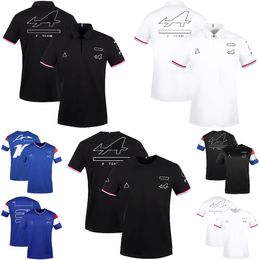 New F1 Team Clothing Men's Custom Racing POLO Shirt Casual Quick-drying Driver's Clothing
