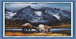 Romances under the snow mountains decor painting Handmade Cross Stitch Embroidery Needlework sets counted print on canvas DMC 14C7793018