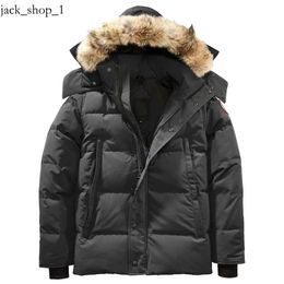 Goose Jacket Mens Down Jacket Coat Real Big Wolf Fur Overcoat Clothing Fashion Style Winter Outerwear Parka Canda Goose 245