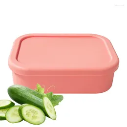 Dinnerware Silicone Lunch Box Heat-Resistant Portable Microwave Safe Container Bag For Universities Companies