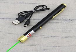 BGD 532nm Green Laser Pointer Pen Builtin Rechargeable Battery USB Charging Lazer Pointer For Office and Teaching336D6433869