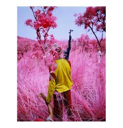 Richard Mosse Pography Painting Courtesy Of The Artist And Jack Shainman Poster Print Home Decor Framed Or Unframed Popaper 6028597