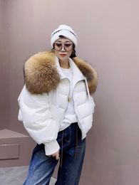 2023 Winter Puffer Jacket Women Large Real Raccoon Fur Collar Short Female Parkas Thick Warm 90 Goose Down Coat Loose 231227