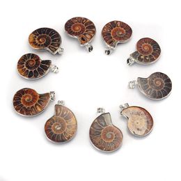 Natural Stone Chrysanthemum Fossil Pendant Silver Plated Bail Men and Women Fashion Jewelry Popular Minimalist Style260F