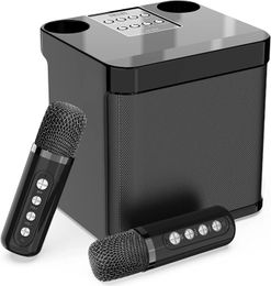 Dual Microphone Karaoke Machine for Adults and Kids Portable Bluetooth PA S er System with 2 Wireless Microphones Home 231226