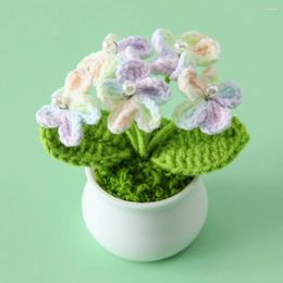 Decorative Flowers Knitting Crochet Potted Plants Handmade Gradient Forget Me Not Mini Ornament Home Car Decoration