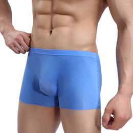 Underpants Mens Sexy Boxers Bugle Pouch Trunks Briefs Seamless Ultra-thin Sheer Knickers See-through Smooth Underwear Casual Swimwear