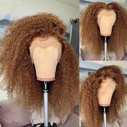 Wigs Mongolian Hair Brown Kinky Curly Lace Front Wig 13x4 HD Lace Frontal Wig Transparent Lace Afro Wig For African Women with Baby Hai