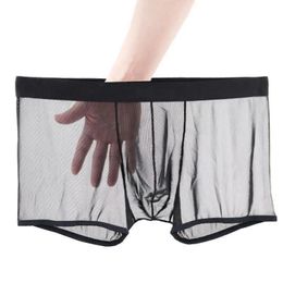 Sexy Lace Underpants Summer Thin Mesh Breathable Seamless Men's Panties Transparent Ice Silk Briefs Middle Waist Boxers 231226