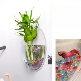 Transparent Hanging Glass Vase Air Plant Wall Fish Tank 15CM for Home Wall Decor 231227