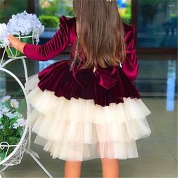 Girl Dresses Burgundy Fluffy Layered Bow Belt Princess Ball Beauty Pageant First Communion Flower Dress Kids Surprise Birthday Present