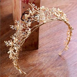 Gold Colour Crystal Crowns Bride Tiara Fashion Queen For Wedding Crown Headpiece Branches Dragonflies Wedding Hair Jewelry250i