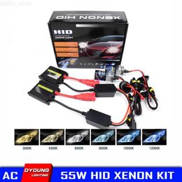 HID Car Xenon Kits H4 Kit Xenon H7 Ignition Unit With Ballast 55W Dyoung AC HID H1 Canbus Car Xenon Lamp H3 H8 H9 H11 9005 HB3 9006 HB4 6000K 8000KL231228L231228