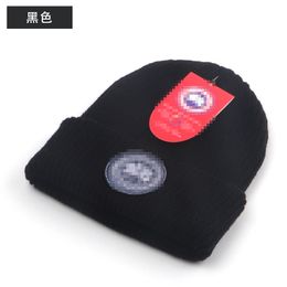 Cross-border knitted hats in Europe and America in autumn and winter men's warm wool hats casual fashion ear protection cold hats
