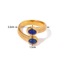 Europe and the United States cross-border court retro titanium steel ring jewelry high-grade sense light luxury small lapis Lazuli ring necklace YQ231220